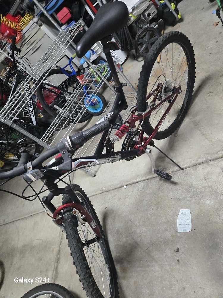 Adults Bike 
