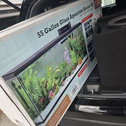 Fish Or Reptile Tank