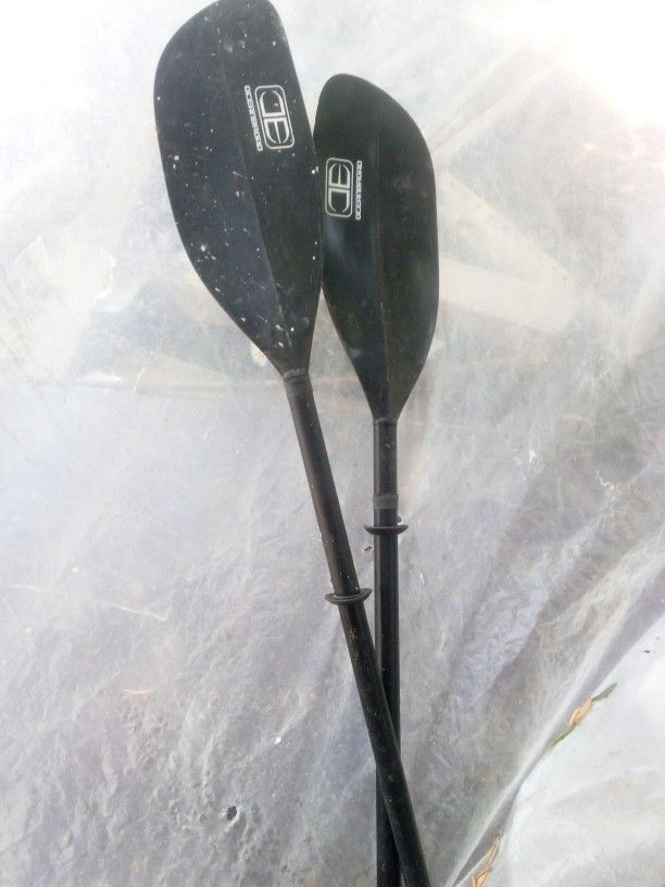 Kayak Paddle