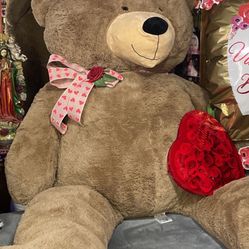 Big Teddy Bear