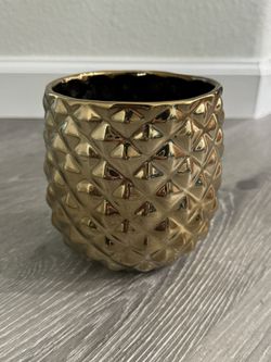 CB2 Colada Pineapple Vase/Planter (Small)