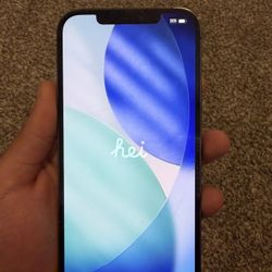 iPhone 12 Pro Max Unlocked 