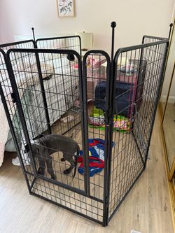 Extra large cage.. just add the animals!