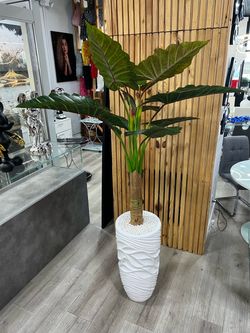 ✅🪴planta decorativa para interior
