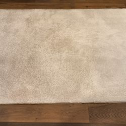 Area Rug (5' X 7') -Beige