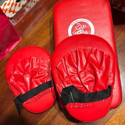 Boxing Kick Pad With Gloves Never Used