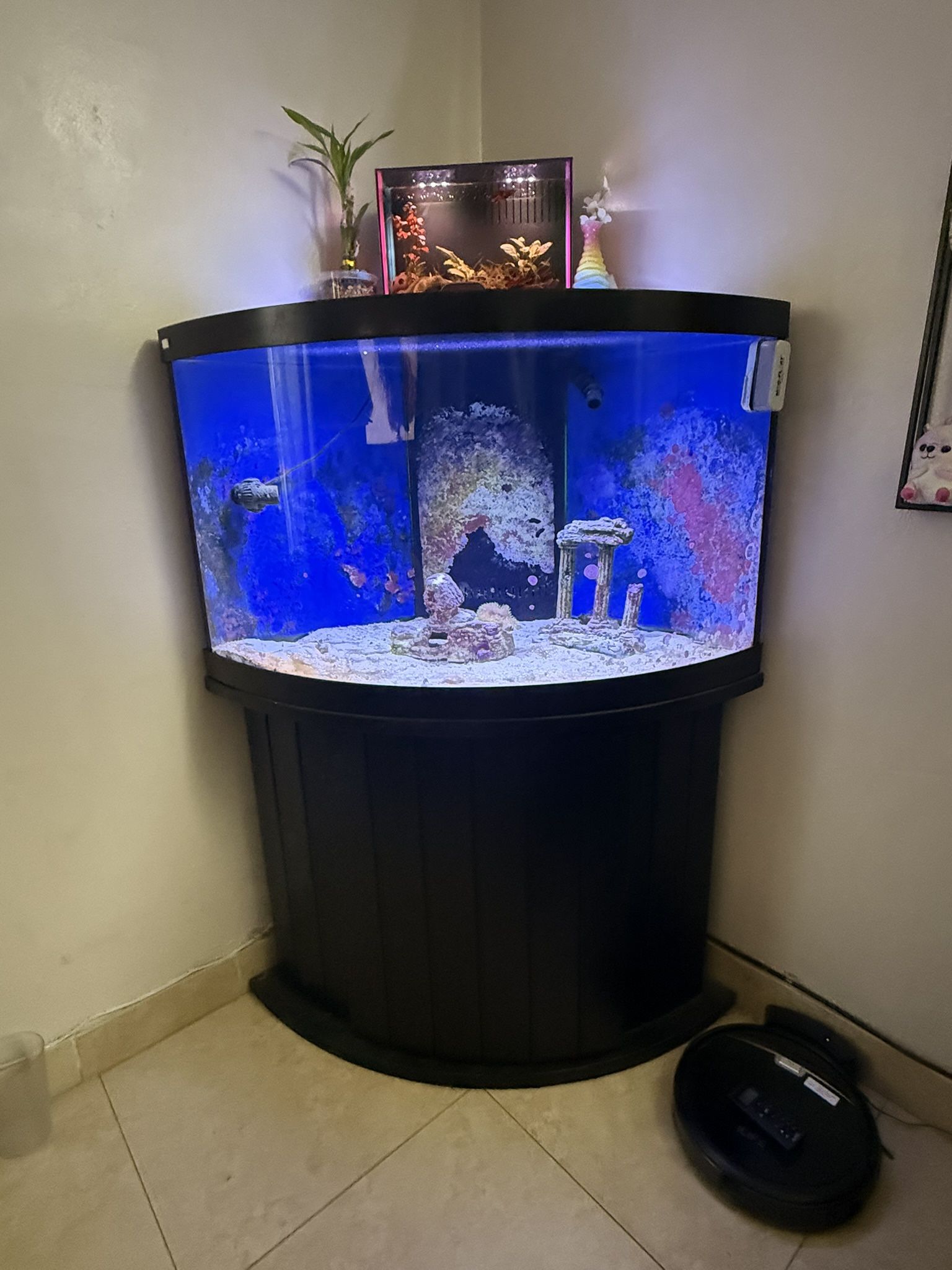 Aquarium