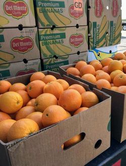 Sweet oranges for sale