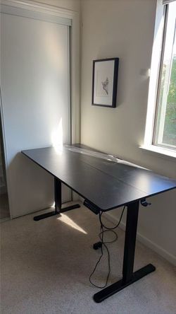 Black Electric Standing Desk