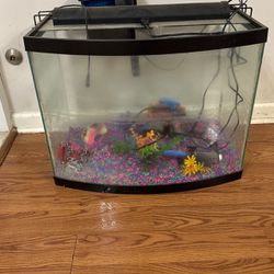 20-30gallon Fish Tank
