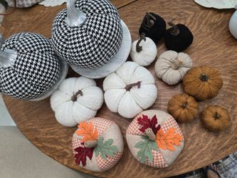 Pumpkin Lot