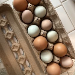 Organic Fed Chicken Eggs 