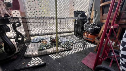 Dog Cage