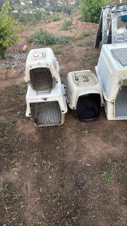 Dog Kennels