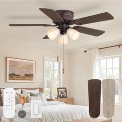 Ceiling Fan