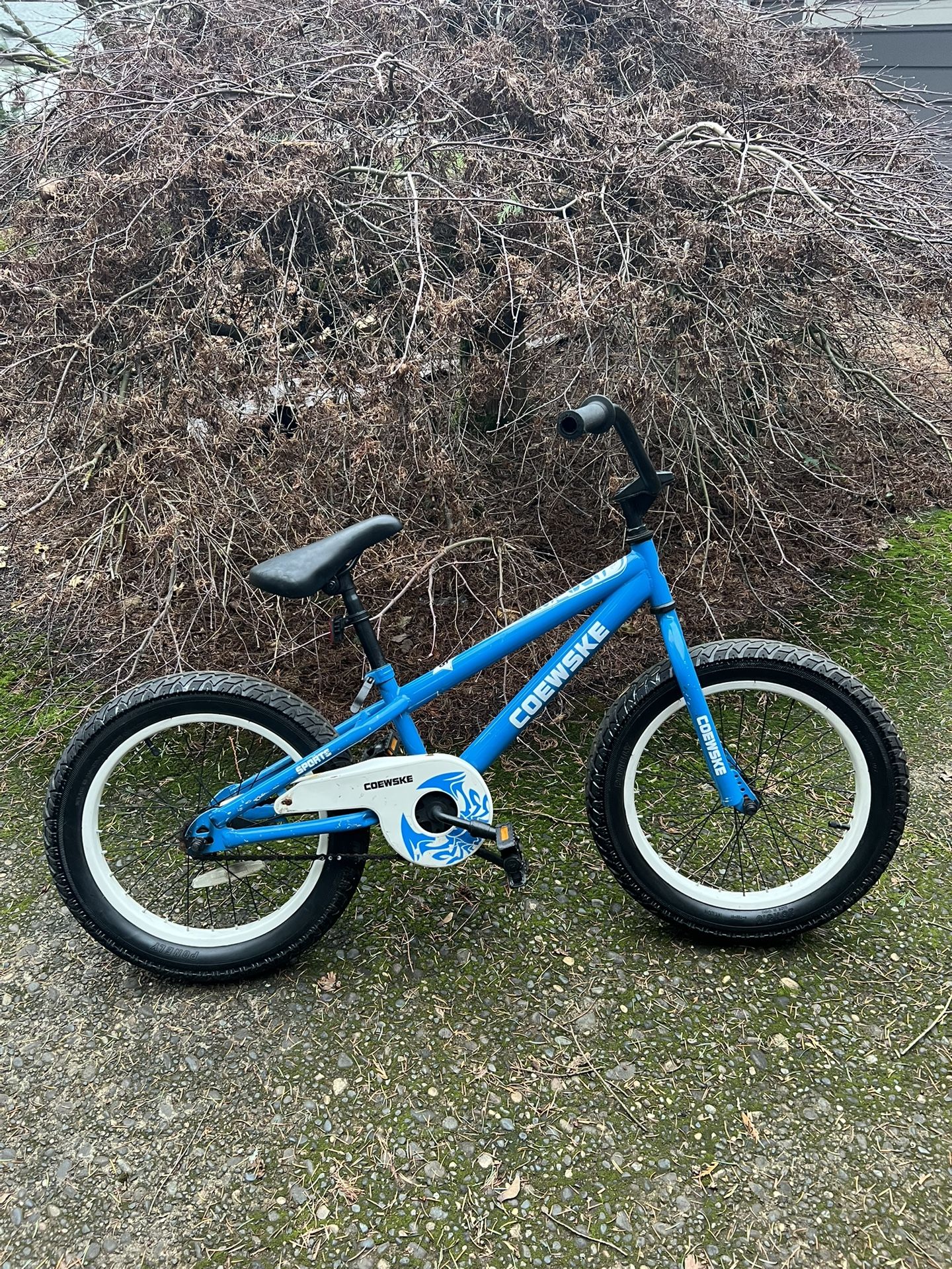 18” Bike (Coewske)