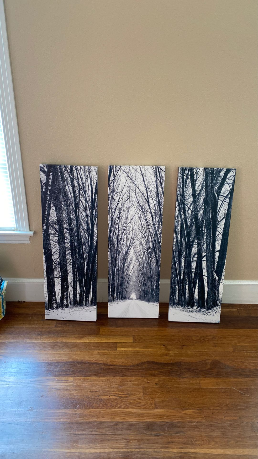 Set of 3 wall art