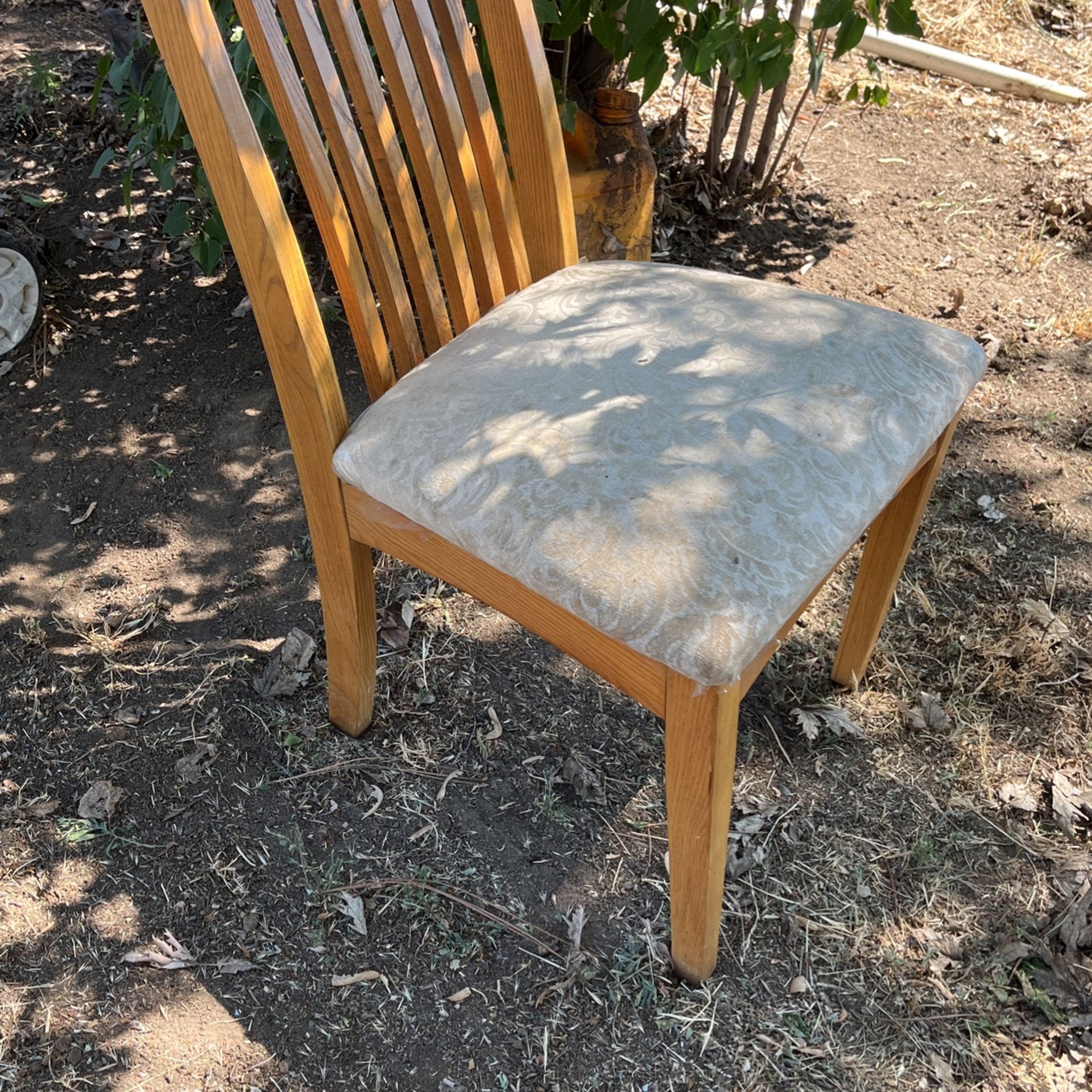 Chairs /Sillas