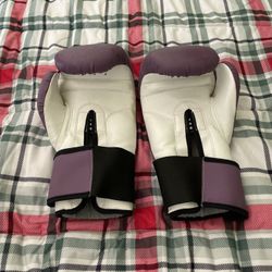 Woldorf Boxing Training Gloves W35c 12 oz 