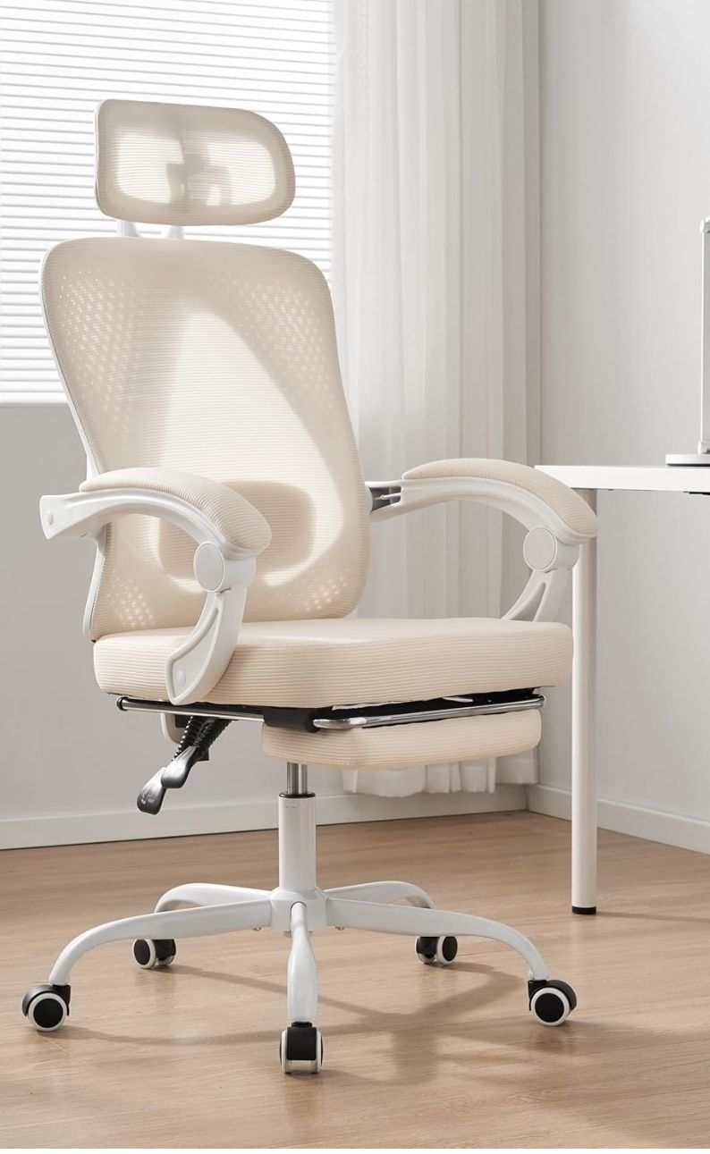 Ergonomic Office Chair