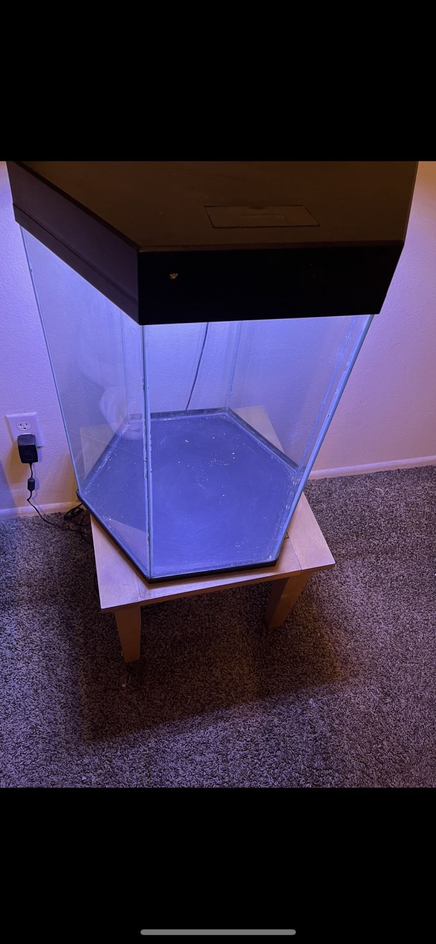 20 Gallon Hexagon Fish Aquarium Tank