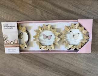 Butterfly picture frames