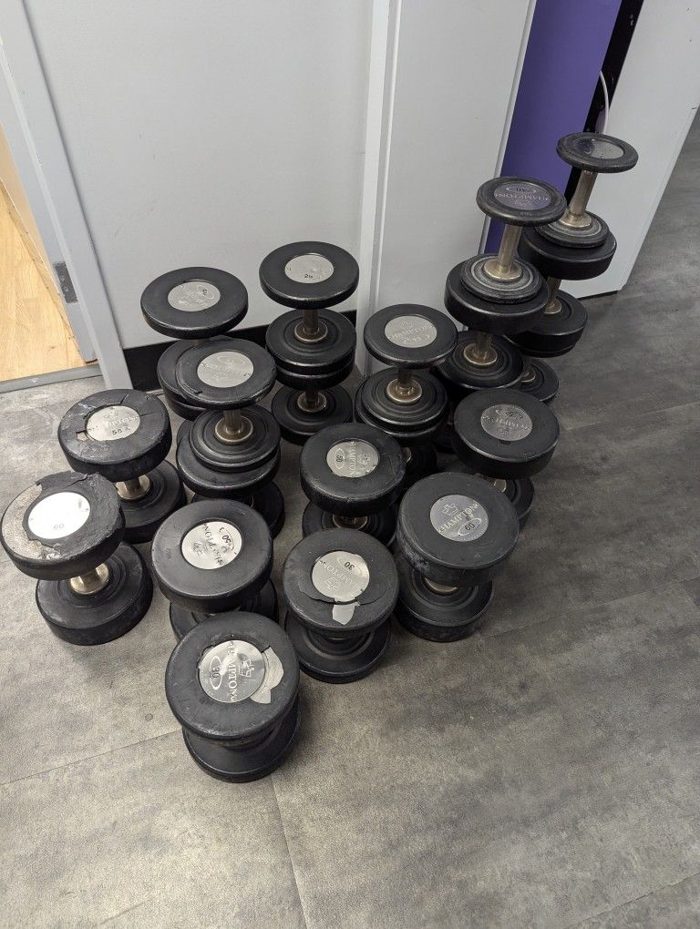 Dumbbells 5 Lb Through 60 Lb