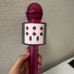 Microphone Toy