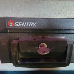 Sentry Safe