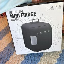mini fridge with warmer & cool setting 