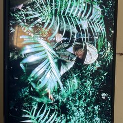 85 Inch  Nec Tv
