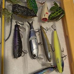 9 Top Water Lures