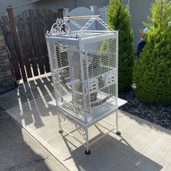 Bird Cage 
