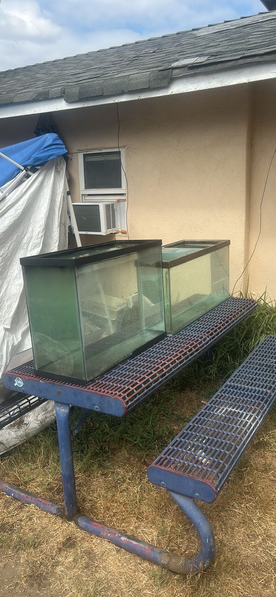 Fish Tanks