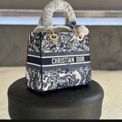 Cristian Dior Purse 