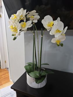 Artificial 2Feet Orchid