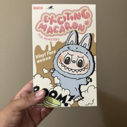 Excited macaron Labubu