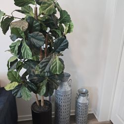 Faux Fig Trees