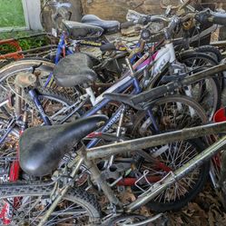 Bike Collection 7 Bike