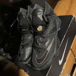 LeBron 13 Size 11