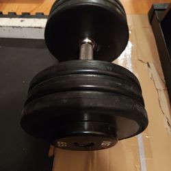 Single IGX 65lb Dumbbell