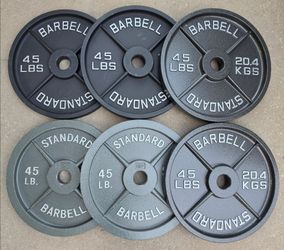 45lb Olympic Iron Weight Plates
