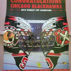 Chicago Blackhawks Stanley Cup Champion Posters