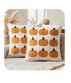 2 Pumpkin Fall Throw Pillow Covers 18x18 Inch