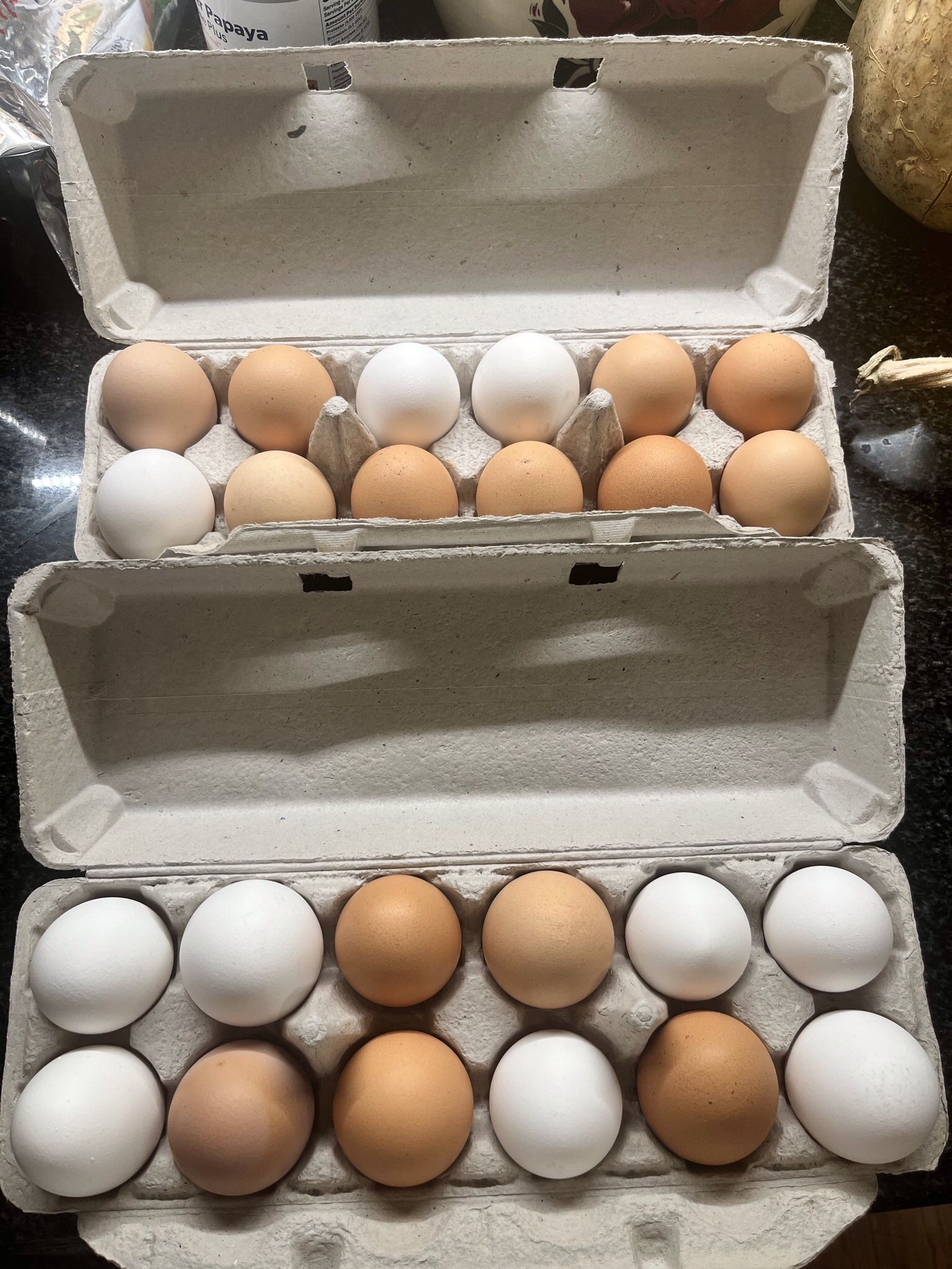 Fresh Eggs