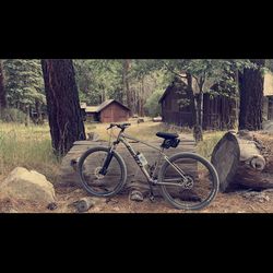 Giant hardtail mountain bike