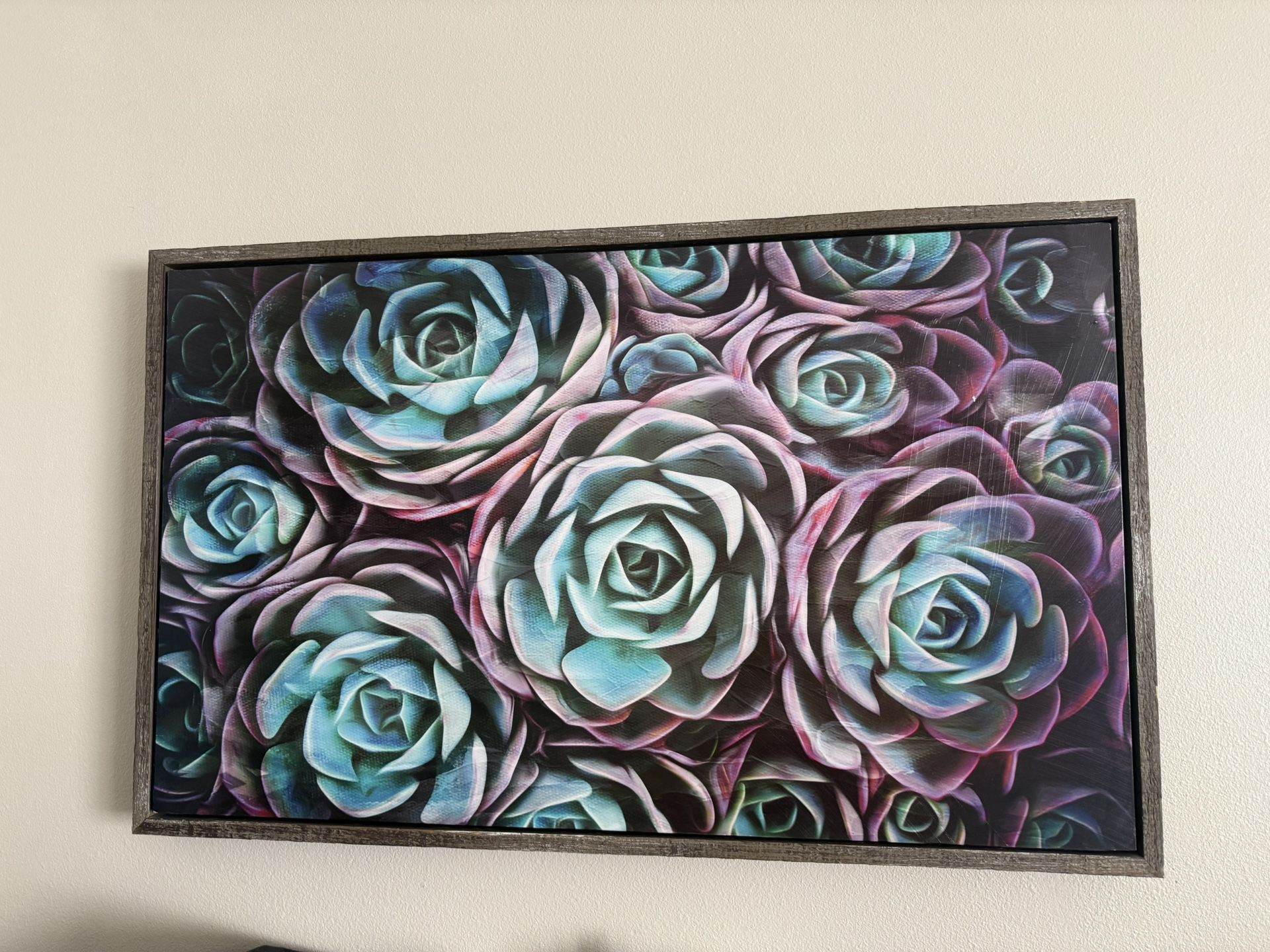 Large Succulent Wall Art
