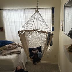Hanging Chair
