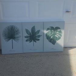  3 picture set of Tropical Palm tree leaf  wall art