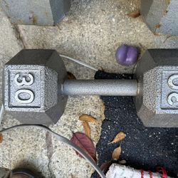 55 And 65 Lb Dumbbells For Sale